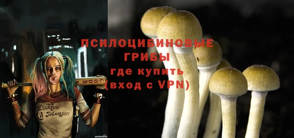 PSILOCYBIN Алзамай