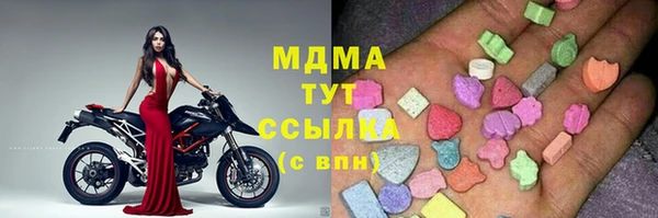PSILOCYBIN Алзамай