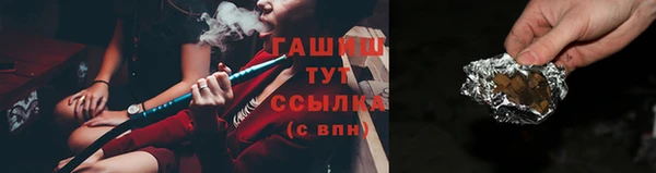 PSILOCYBIN Алзамай